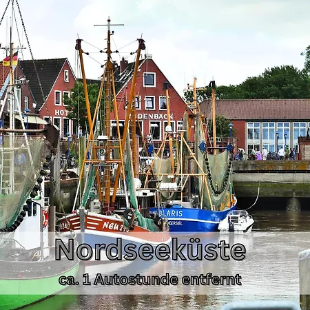 Neu Neu 