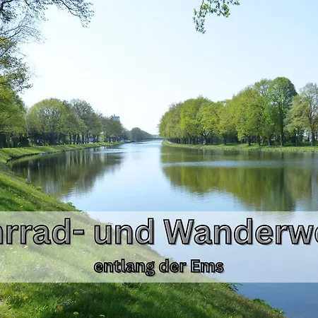 Neu Neu 